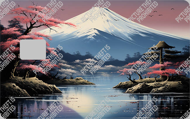 Bank  Card Sticker-BC-2792